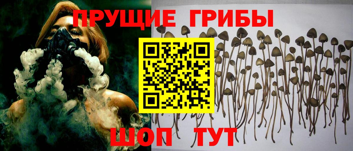 Архангельск  Галлюциногенные грибы мухоморы  Вход с VPN 