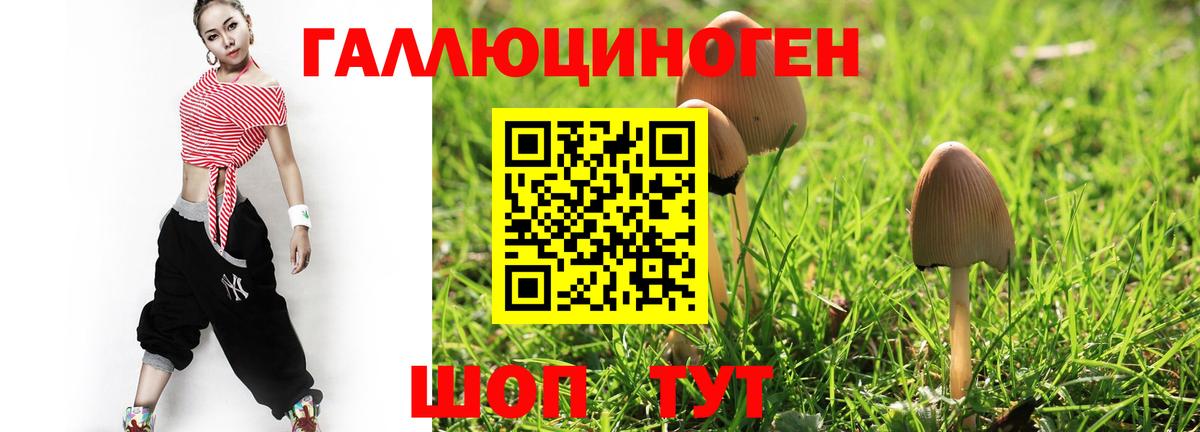 Галлюциногенные грибы Psilocybine cubensis Архангельск